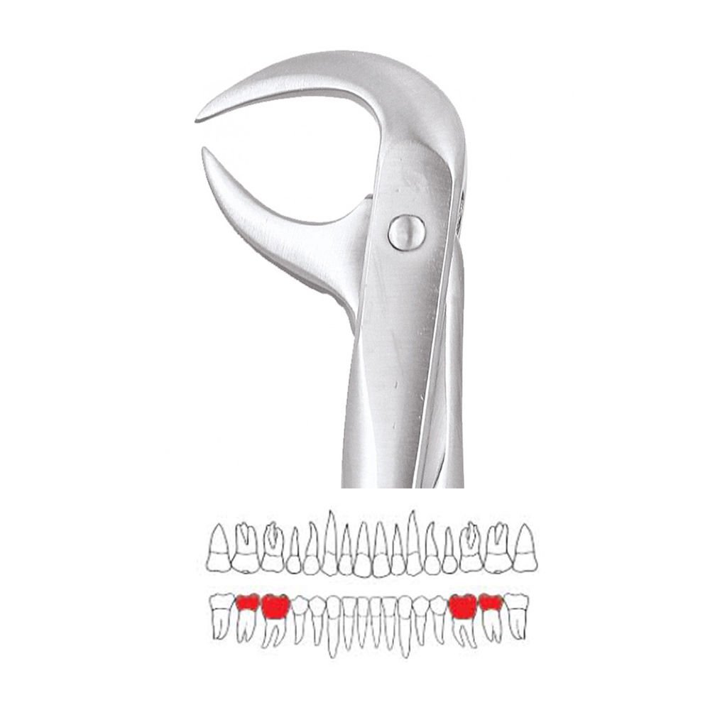 GDC Extraction Forceps Lower Molars - 86A Standard (FX86AS)