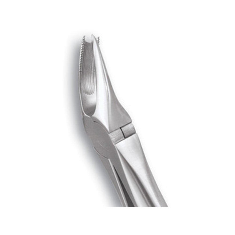 GDC Extraction Forceps Upper Molars Right Standard - (FX89S)