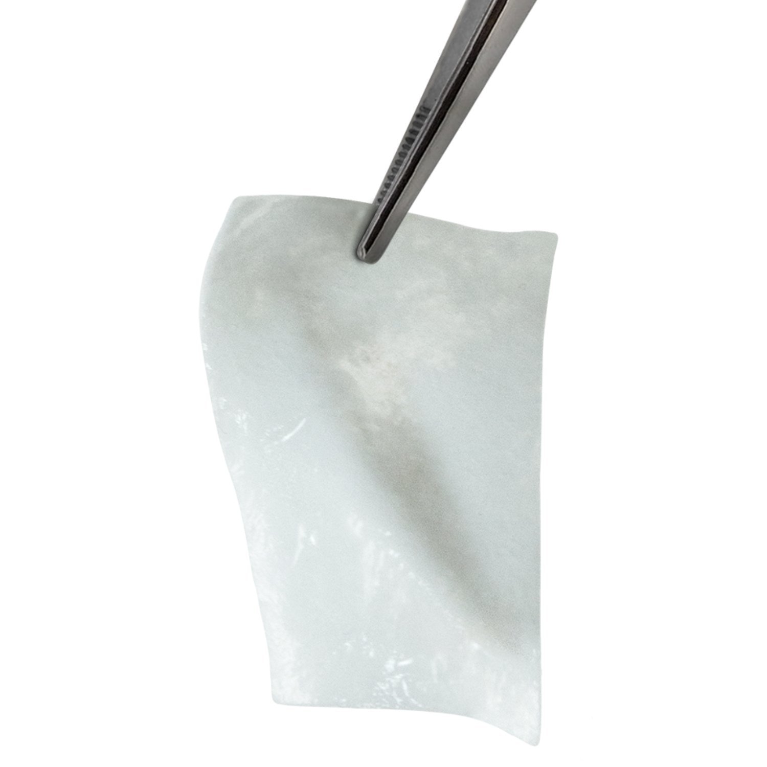 Bioteck Regenerative Barrier Membrane 1