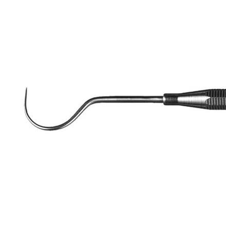 Dentsply Ash Probe