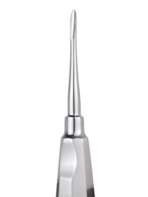 GDCX01_ELEV01_01_004_1.jpg GDCX01_ELEV01_01_004_1.jpg