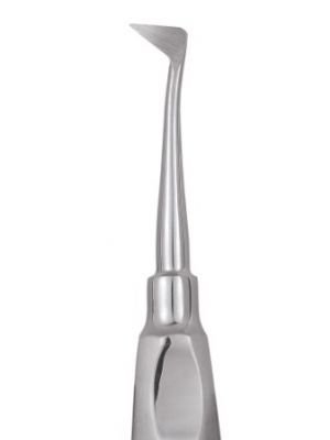 GDCX01_ELEV01_01_008_1.jpg GDCX01_ELEV01_01_008_1.jpg