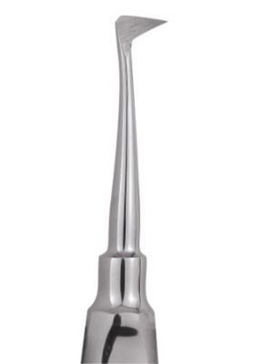 GDCX01_ELEV01_01_009_1.jpg GDCX01_ELEV01_01_009_1.jpg