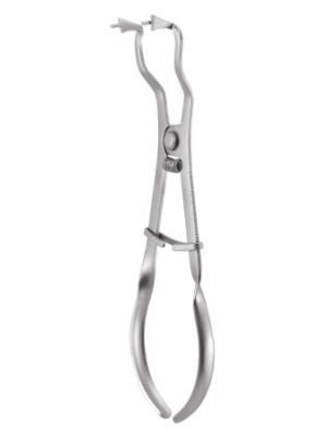 GDCX01_RUBB01_03_001_1_1.jpg GDCX01_RUBB01_03_001_1_1.jpg