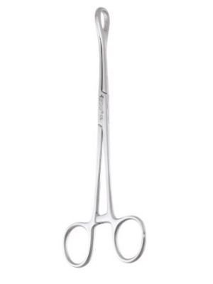 GDCX01_STFO01_03_001_1.jpg GDCX01_STFO01_03_001_1.jpg