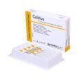 Prevest Denpro Calplus Calcium Hydroxide Paste m