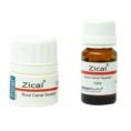 Prevest Denpro Zical Root Canal Sealent 4