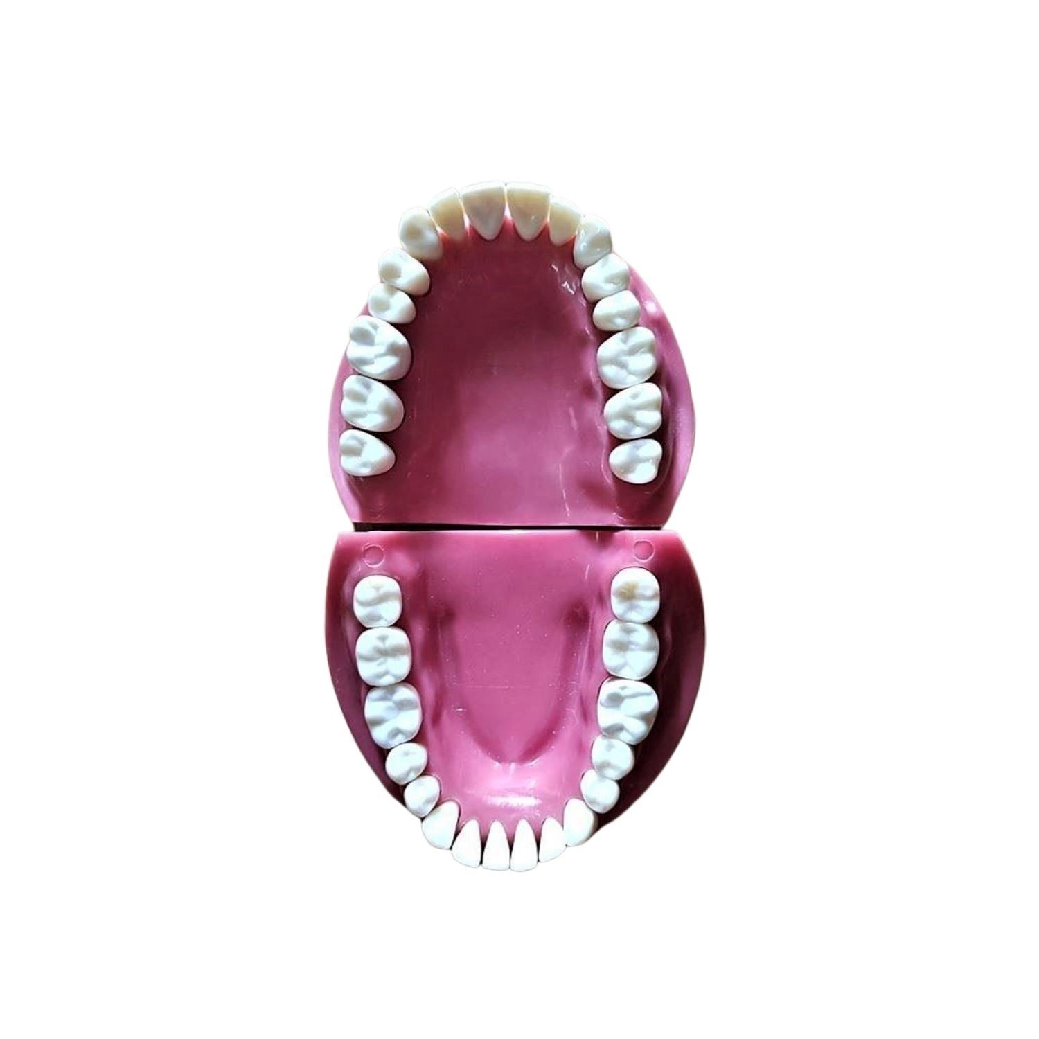 Untitled design - 2022-08-19T145543.632 Untitled design - 2022-08-19T145543.632