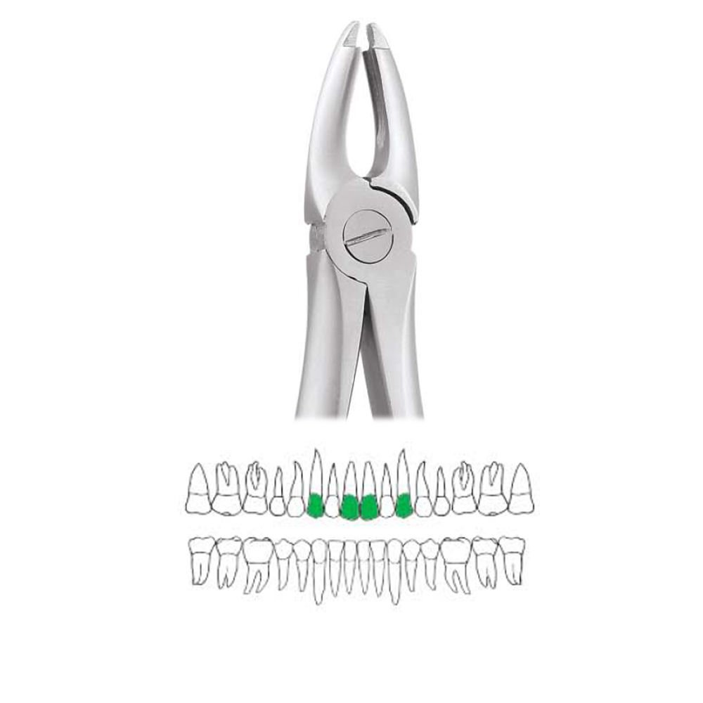 GDC Extraction Forceps Upper Centrals And Canines - 1 Atraumatic (AFX1)
