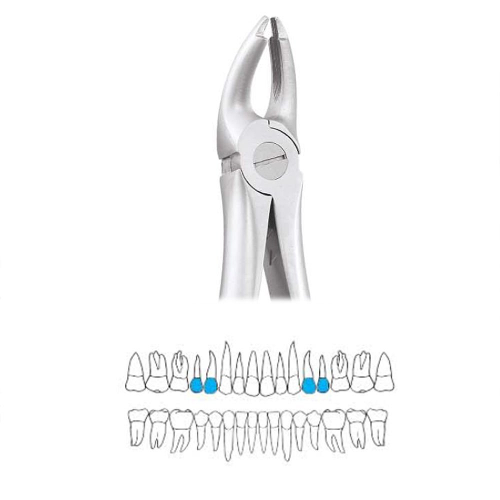 GDC Extraction Forceps Upper Premolars - 7 Atraumatic (AFX7)