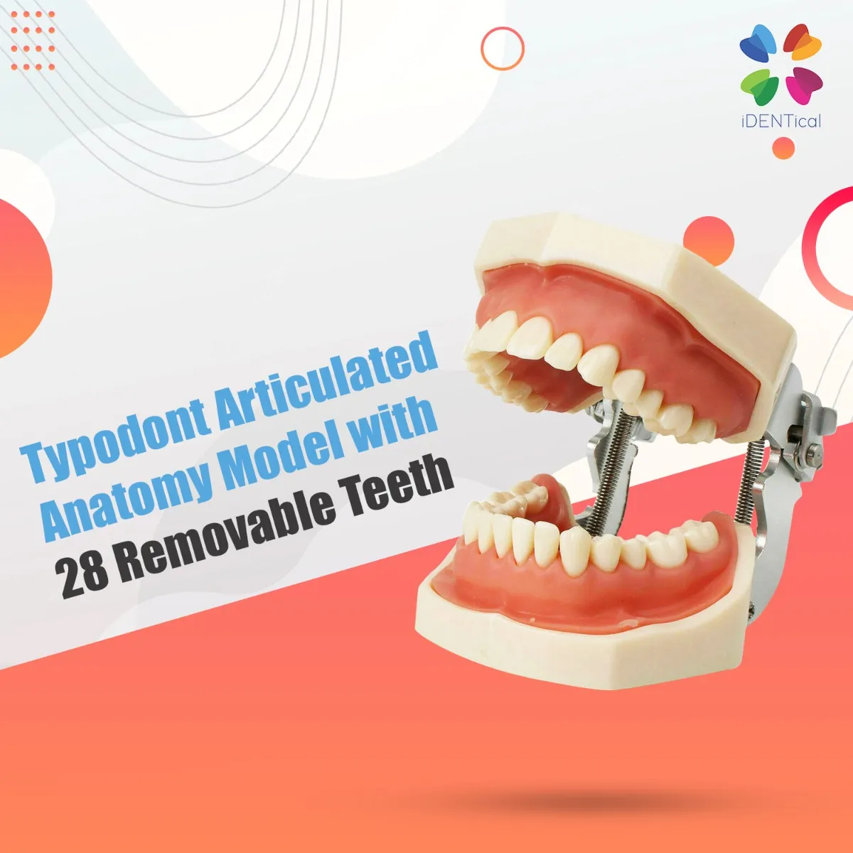 artboard_6_8_ artboard_6_8_