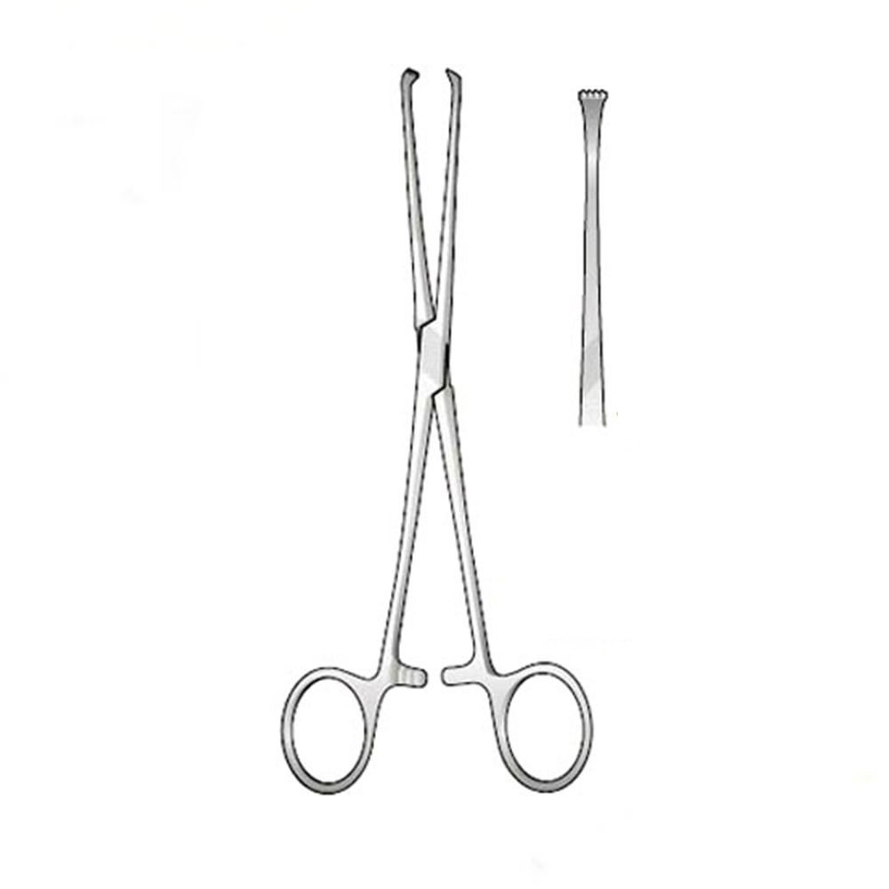GDC Allis Forceps Baby-4x5 (12.5cm) (TFB)