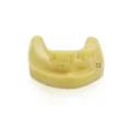 iDENTical Mandibular Model M2028