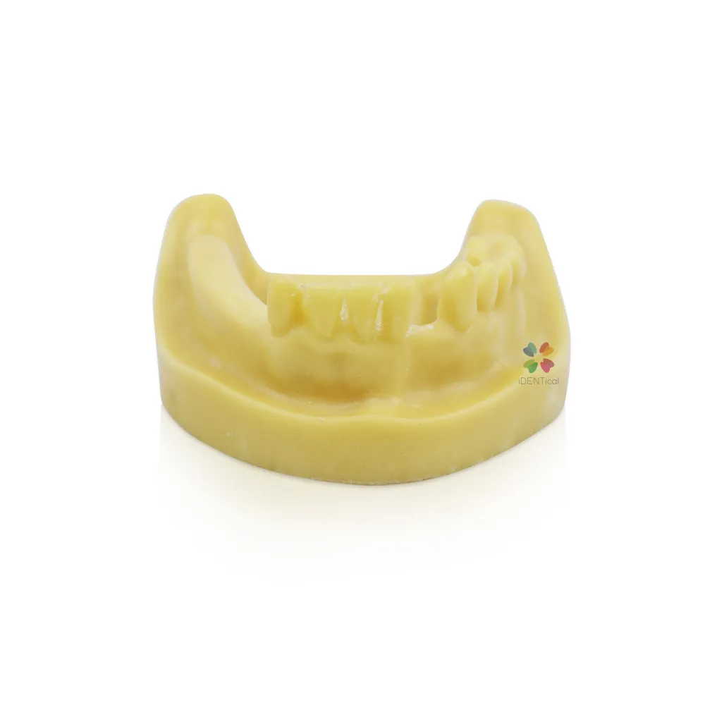 iDENTical Mandibular Model M2028
