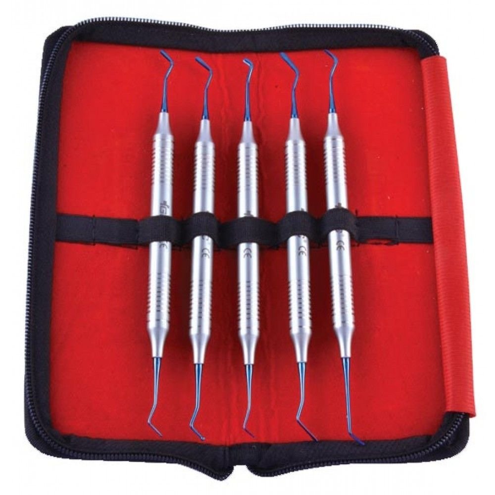 GDC Teflon Coated Composite Instrument Anterior Set Of 5 Pcs In Pouch (CIAP5)