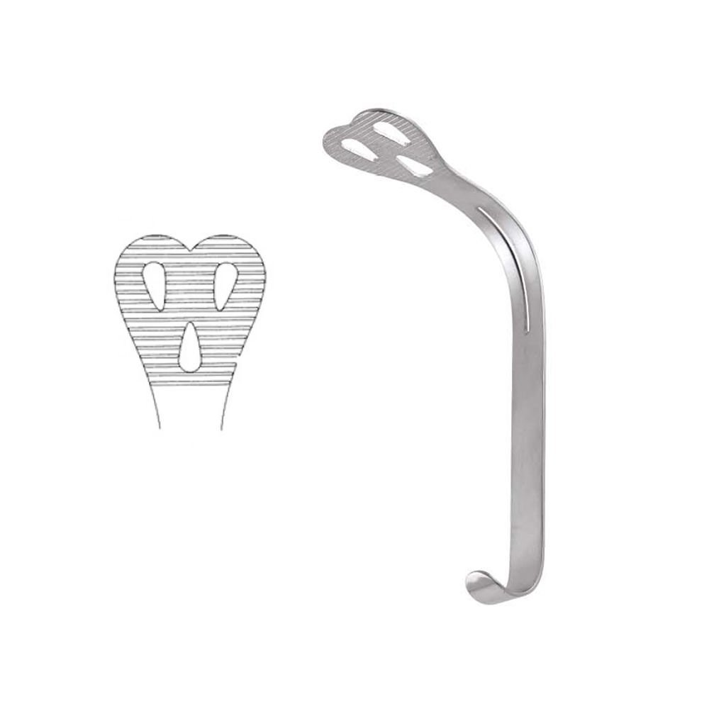 GDC Weider Cheek Tongue Depressor - Large (15cm) (Crw2)