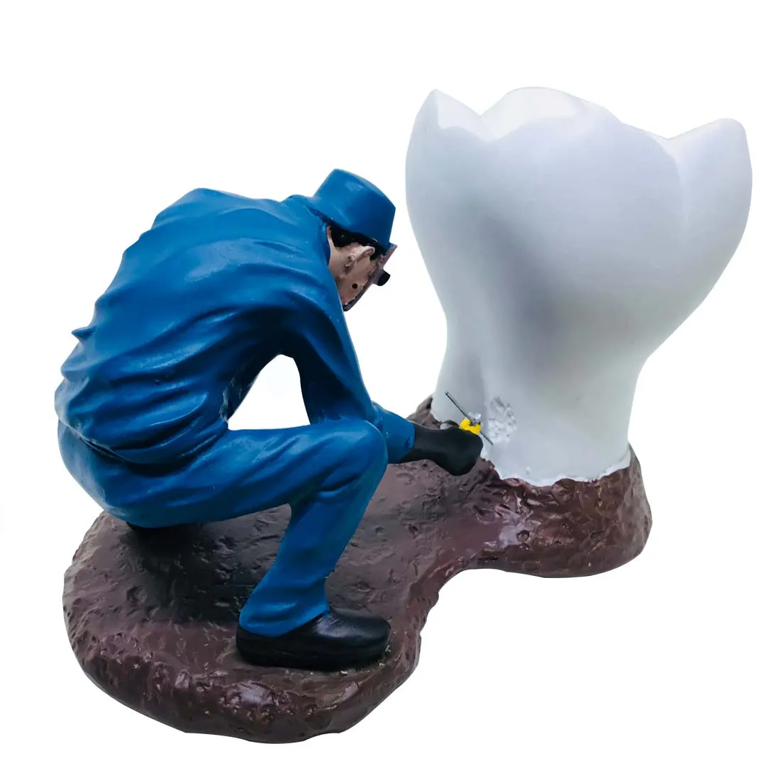 Dental Model With Craftsman MD-115