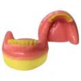 dental-model-partially-edentulous-mandible-md-1231