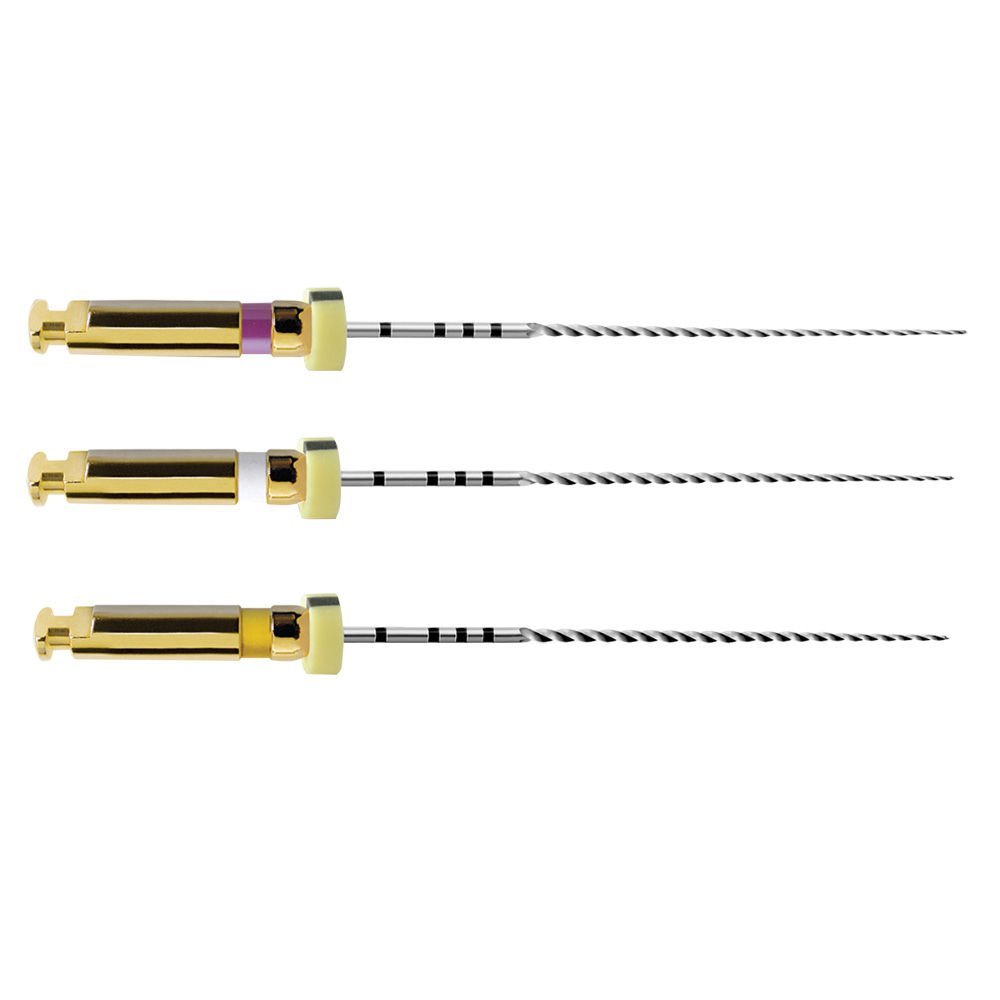 Dentsply Path File 21mm