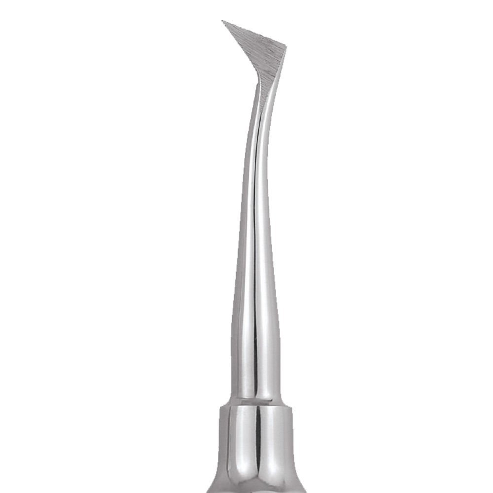 GDC Root Elevators Cryer - Right Standard (Ea31)