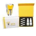 mta dental