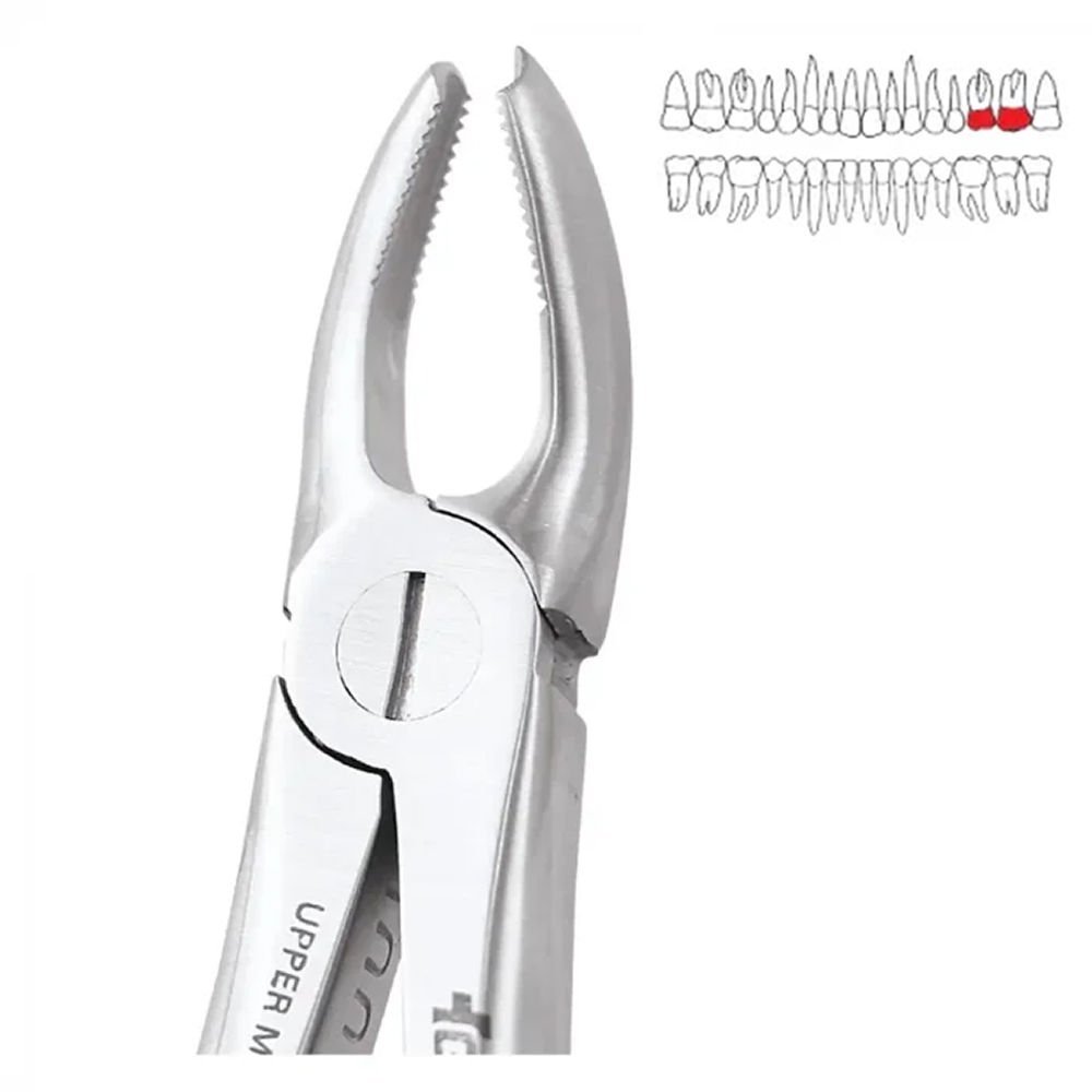 GDC Extraction Forceps Upper Molar Left Standard (FX18S)