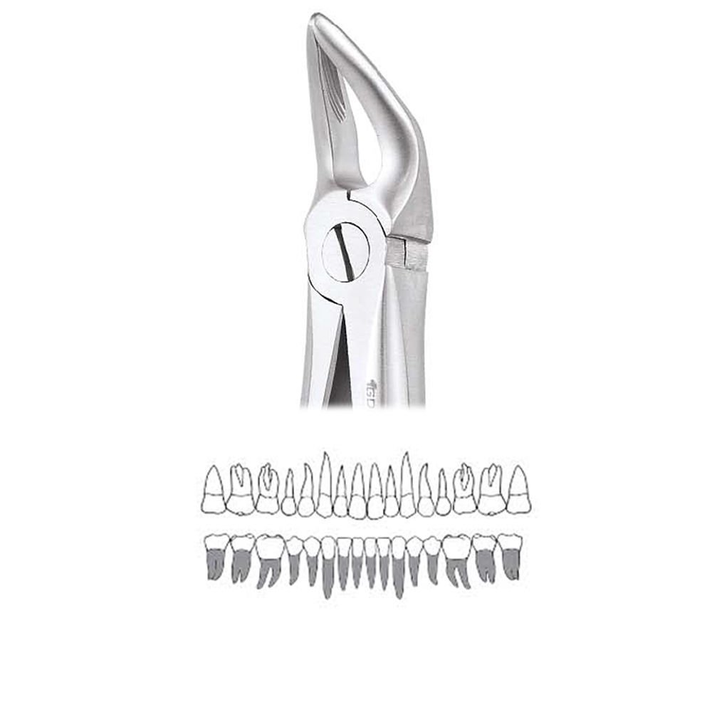 GDC Extraction Forceps Lower Roots - 31 Standard (FX31S)