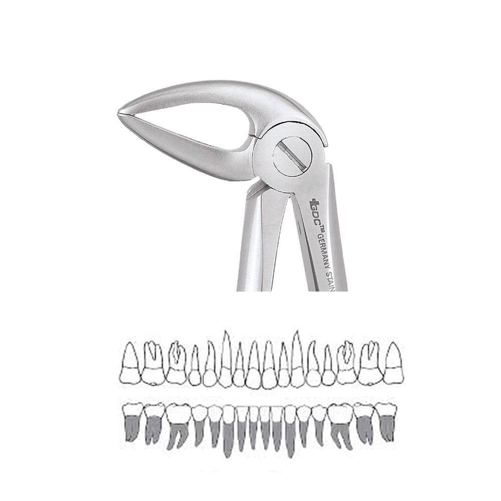 GDC Extraction Forceps Lower Roots - 33L Standard (FX33LS)