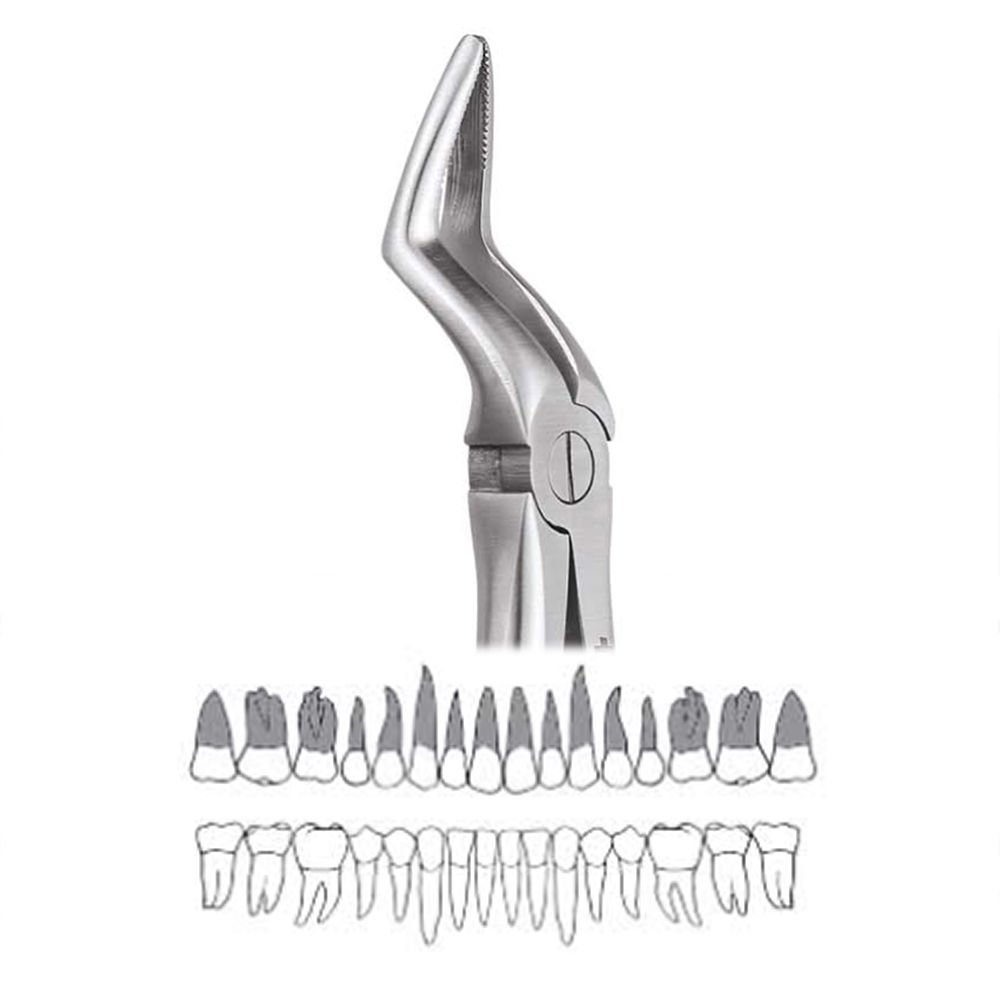GDC Extraction Forceps Upper Roots - 51 Standard (FX51S)