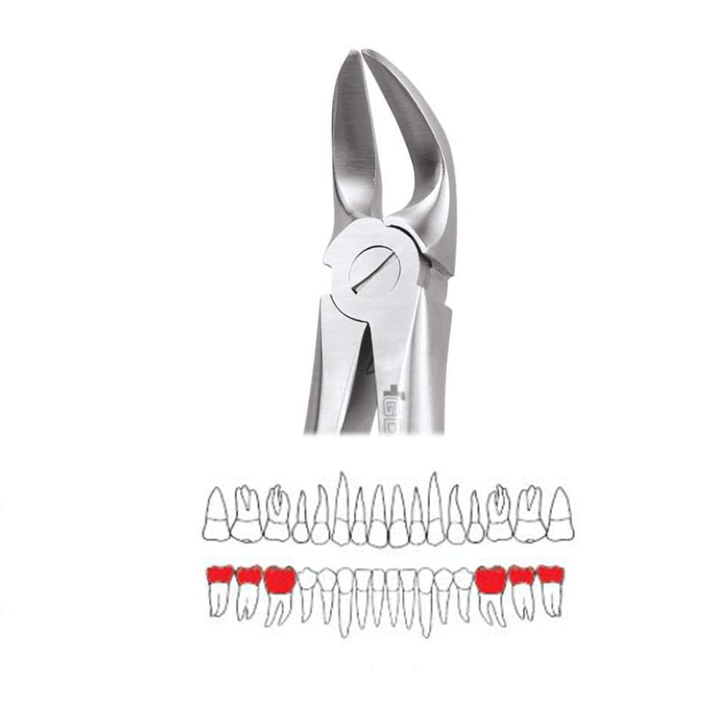 GDC Extraction Forceps Separating Lower Molars - 56 Standard (FX56S)