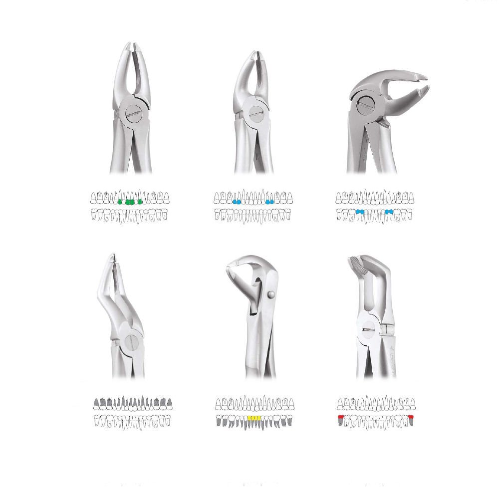 GDC Extraction Forceps Atraumatic