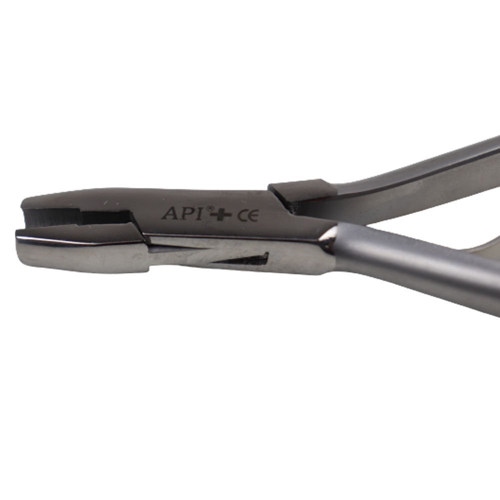 Api+ Plier Dela Rosa