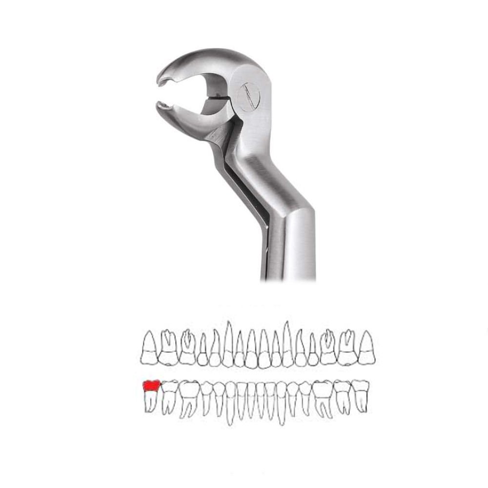 GDC Extraction Forceps Lower Molar And Wisdom Left-22 1/2l Premium (FX221/2LP)