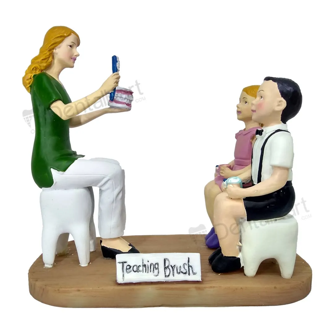 Dental Sculpture For Brushing Habits MD- 114