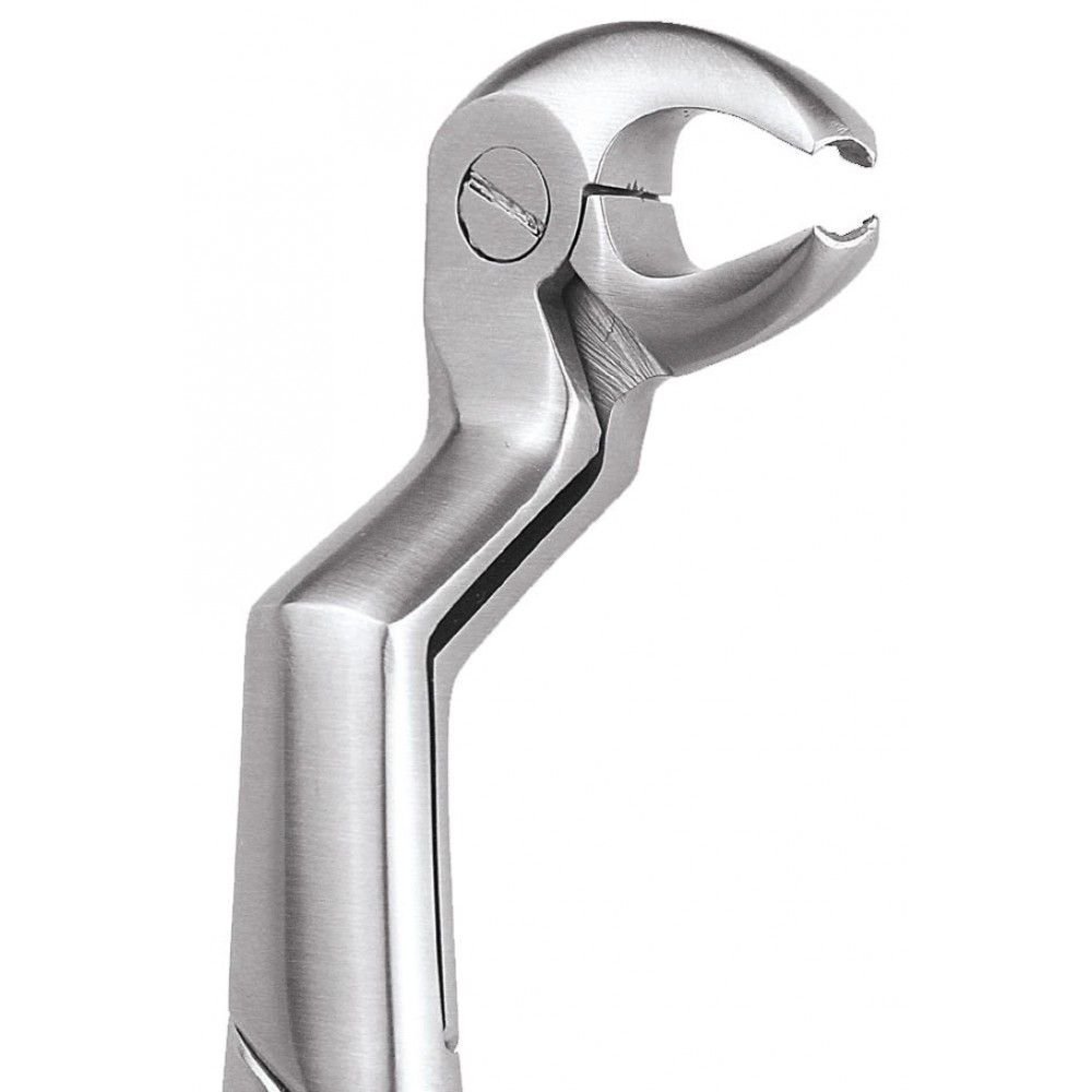 GDC Extraction Forceps Lower Molars And Wisdoms Right - Premium (Fx22 1/2rp)