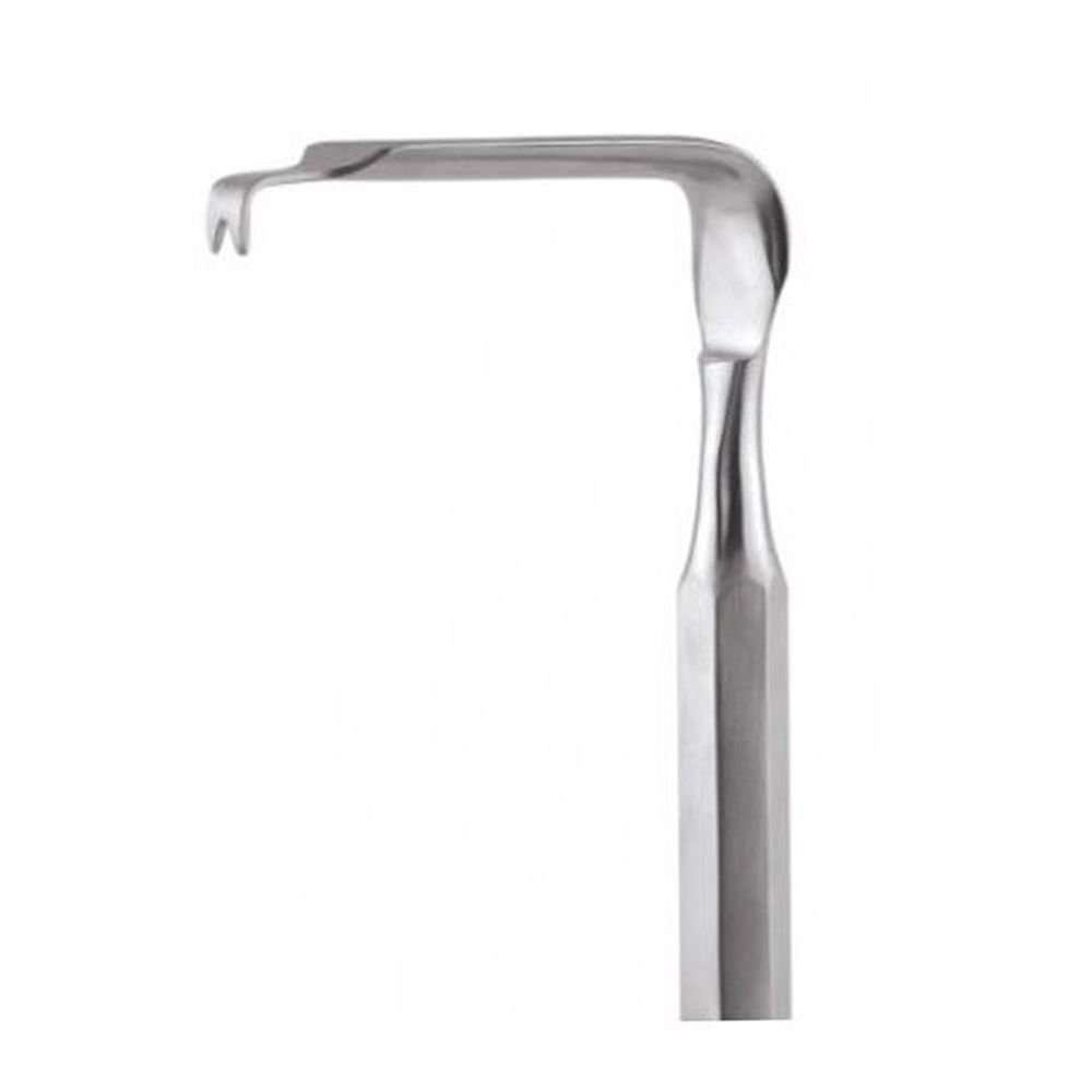 GDC Austin Cheek Retractor With Handle (TRA1)