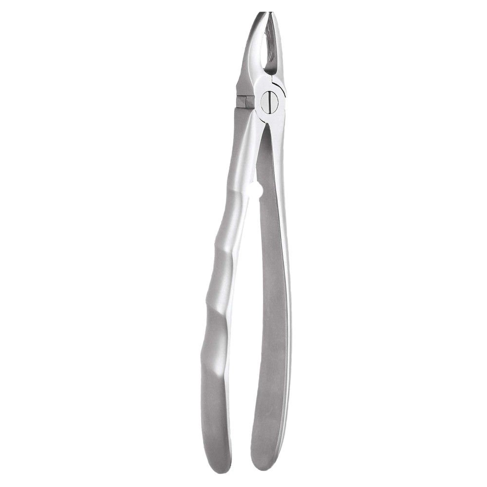 GDC Extraction Forcep Upper Premolar - 7 Ergonomic (Fx7e)